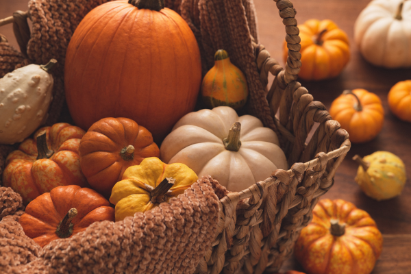 Fall_Pumpkin_Harvest