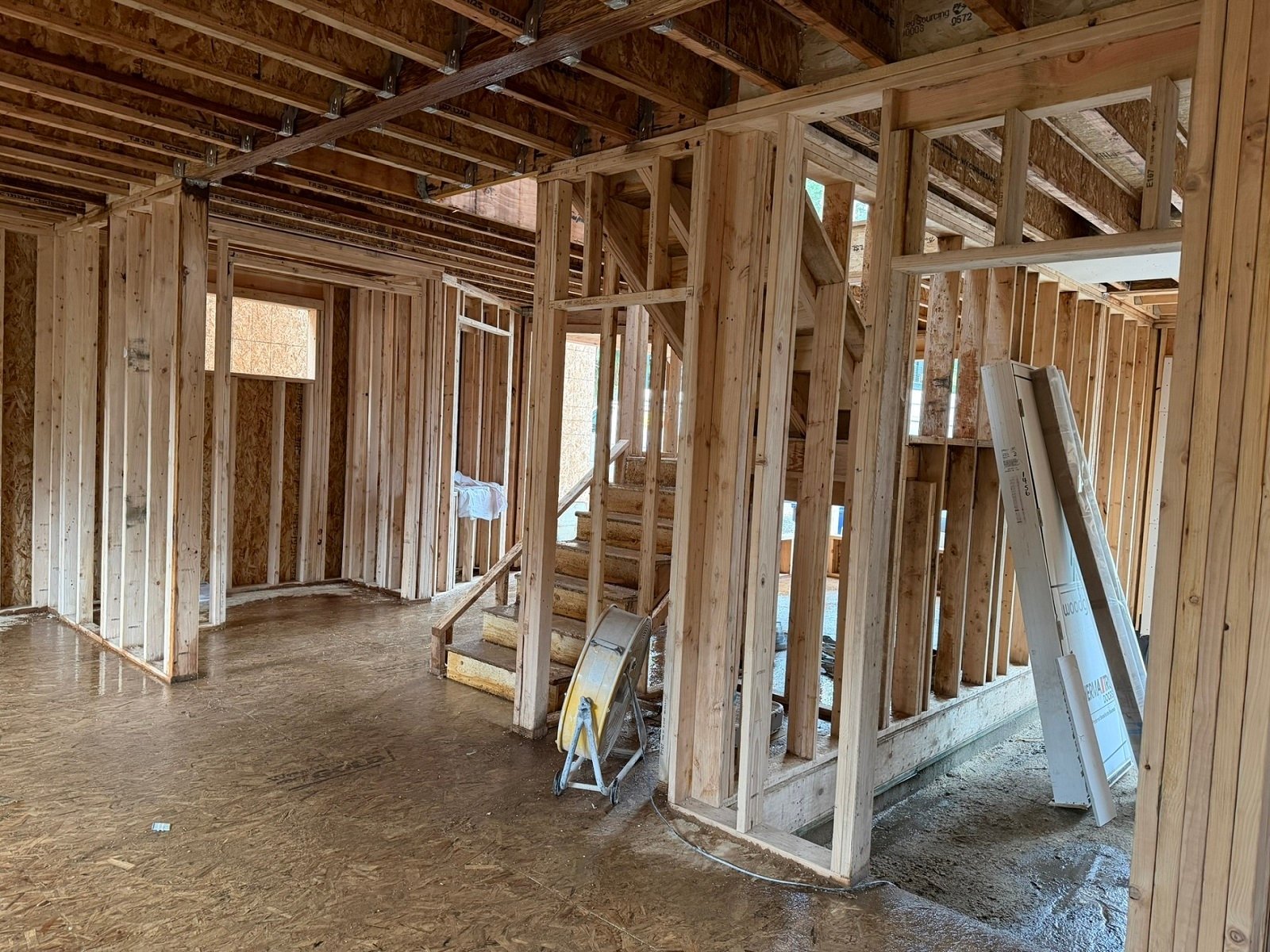 Blog-Zyla-Framewalk_02